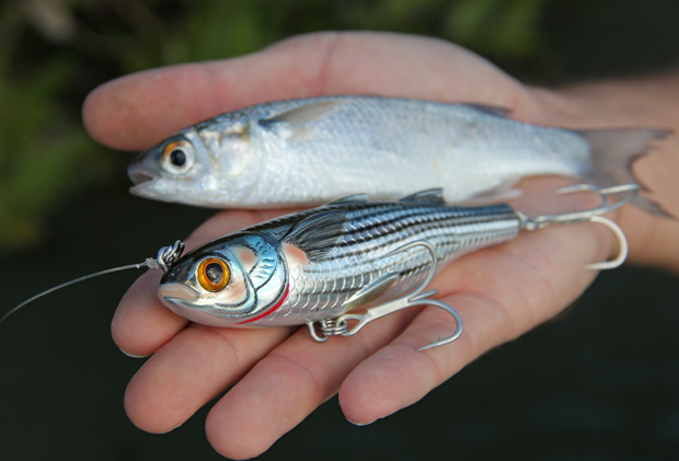 Suspending lures in shallow water